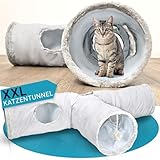 PFOTENGUT Katzentunnel XXL [für kleine und große Katzen] - robuster Spieltunnel zur Beschäftigung...